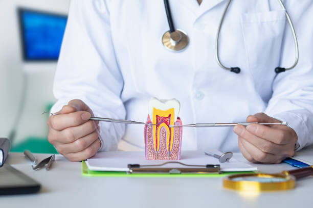 Best Emergency Tooth Extraction in Ladue, MO
